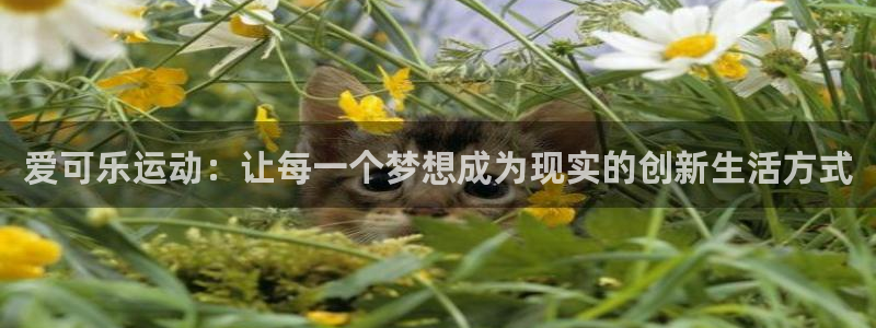 fb体育官方客服电话:爱可乐运动:让每一个梦想成为现实的创新