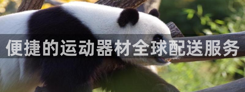 海南fb体育:便捷的运动器材全球配送服务